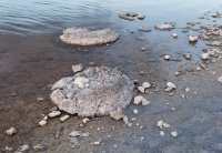 AUS - Lake Thetis o3142
